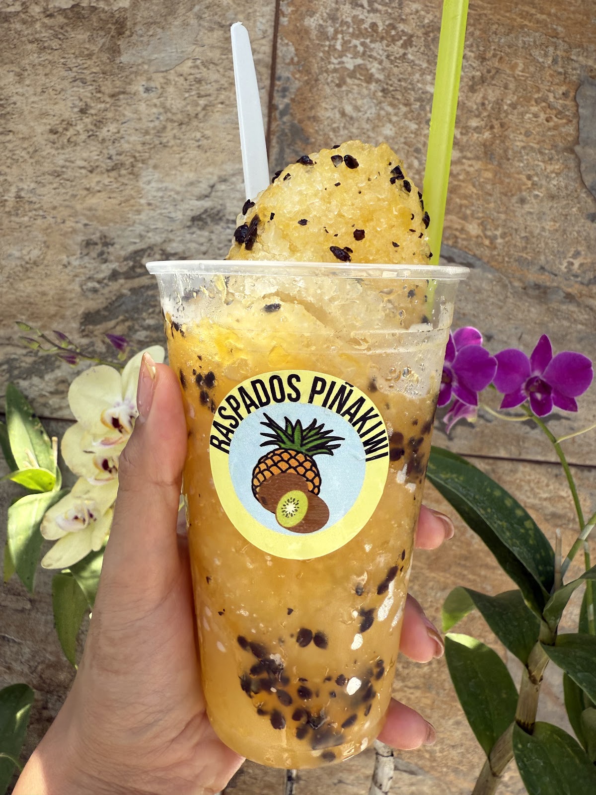 leetx-google-photo-68401-2 leetx-google-photo-68401-2