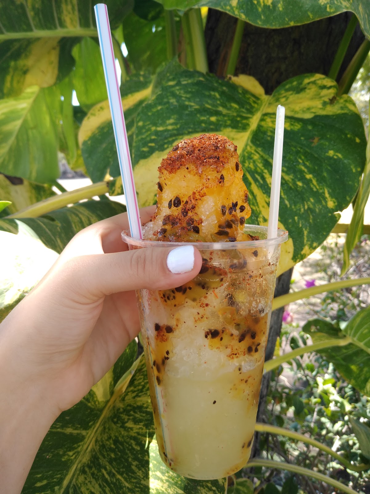 leetx-google-photo-68401-8 leetx-google-photo-68401-8