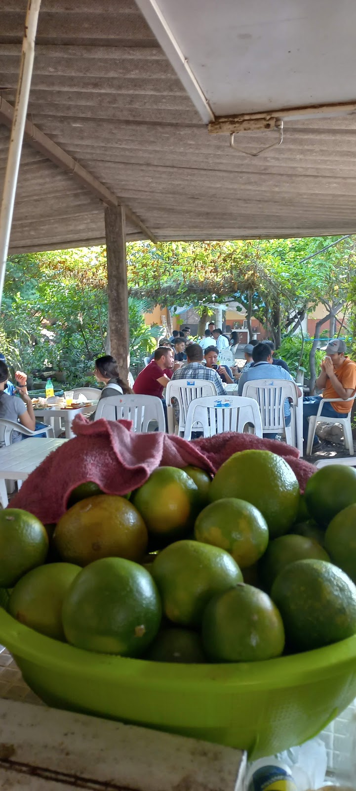 leetx-google-photo-68758-6 leetx-google-photo-68758-6