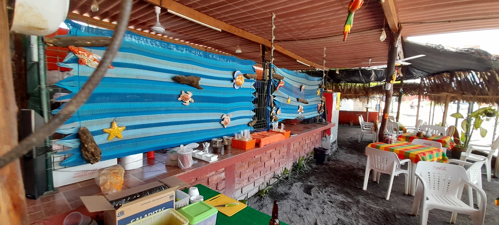 leetx-google-photo-68864-8 leetx-google-photo-68864-8