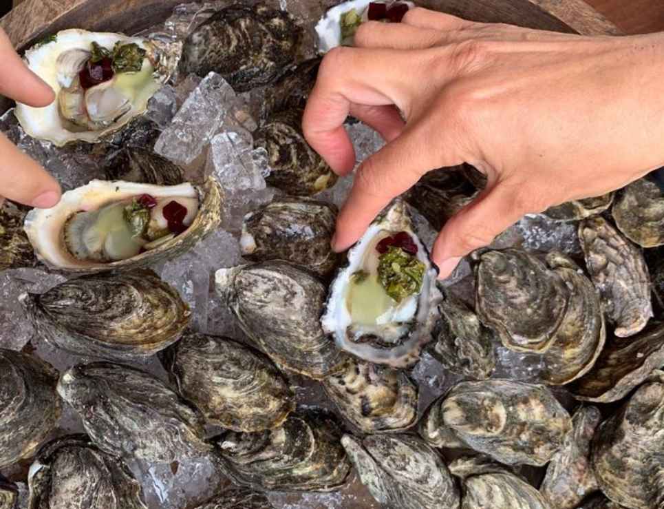 leetx-google-photo-69112-4 leetx-google-photo-69112-4