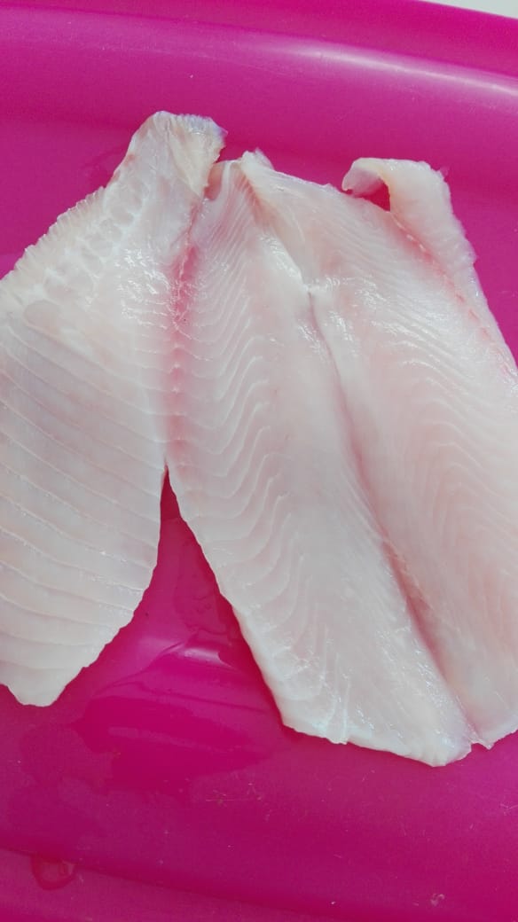 leetx-google-photo-69129-6 leetx-google-photo-69129-6