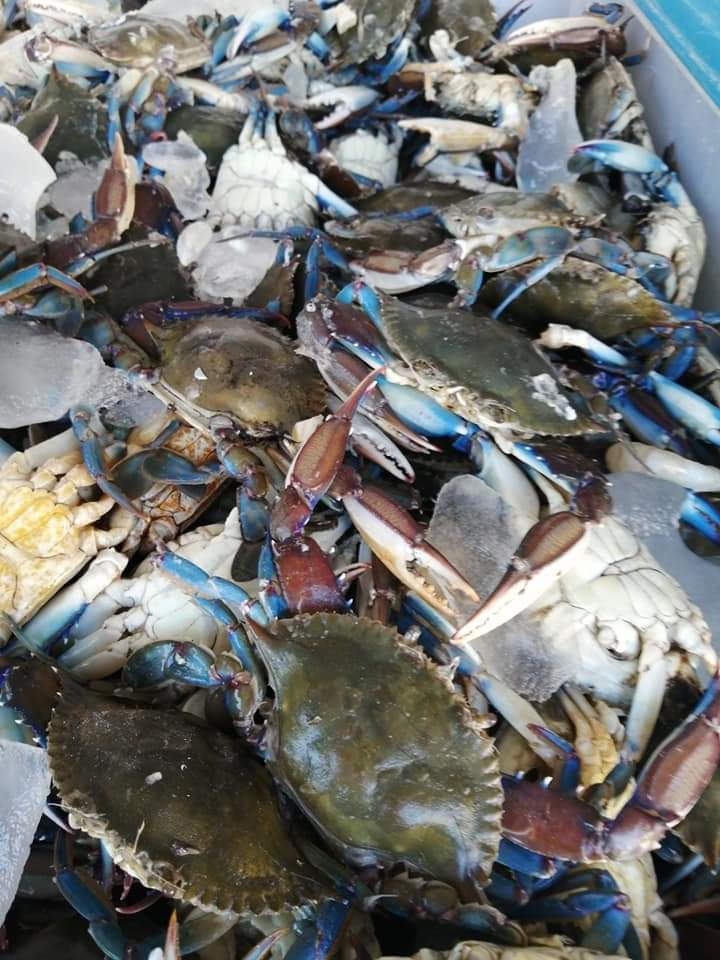 leetx-google-photo-69129-9 leetx-google-photo-69129-9