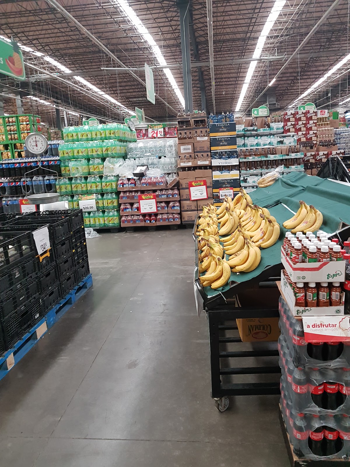 leetx-google-photo-69447-2 leetx-google-photo-69447-2