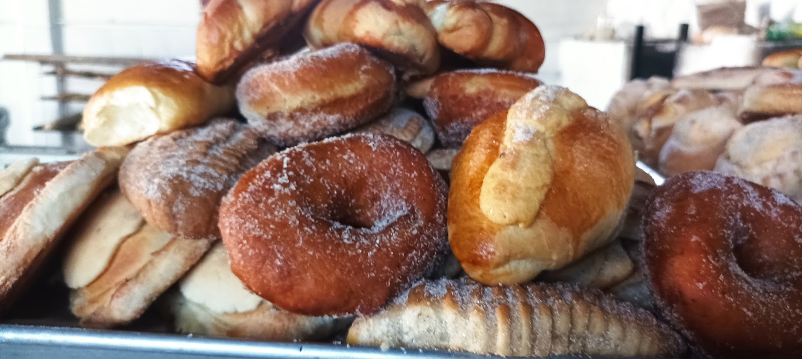 leetx-google-photo-69458-2 leetx-google-photo-69458-2