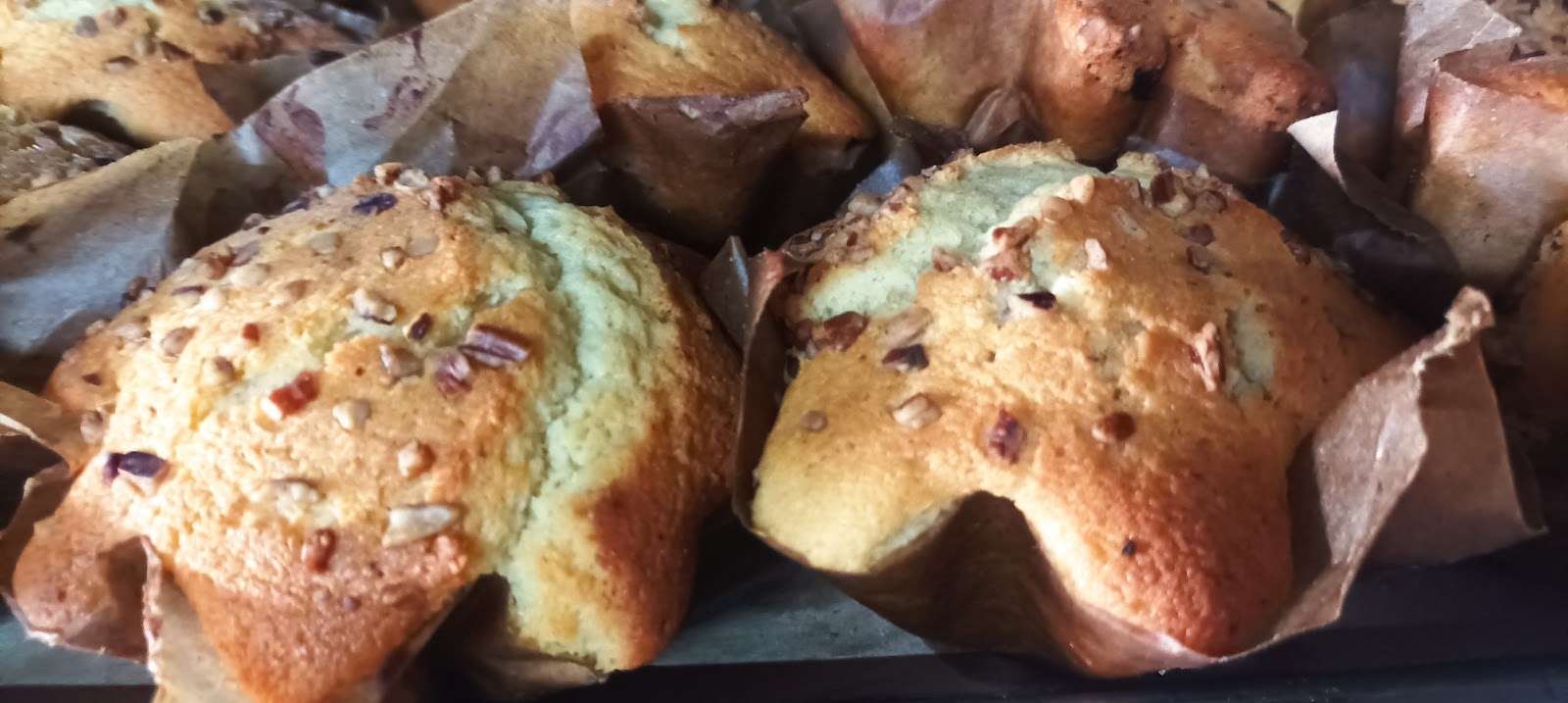 leetx-google-photo-69458-5 leetx-google-photo-69458-5