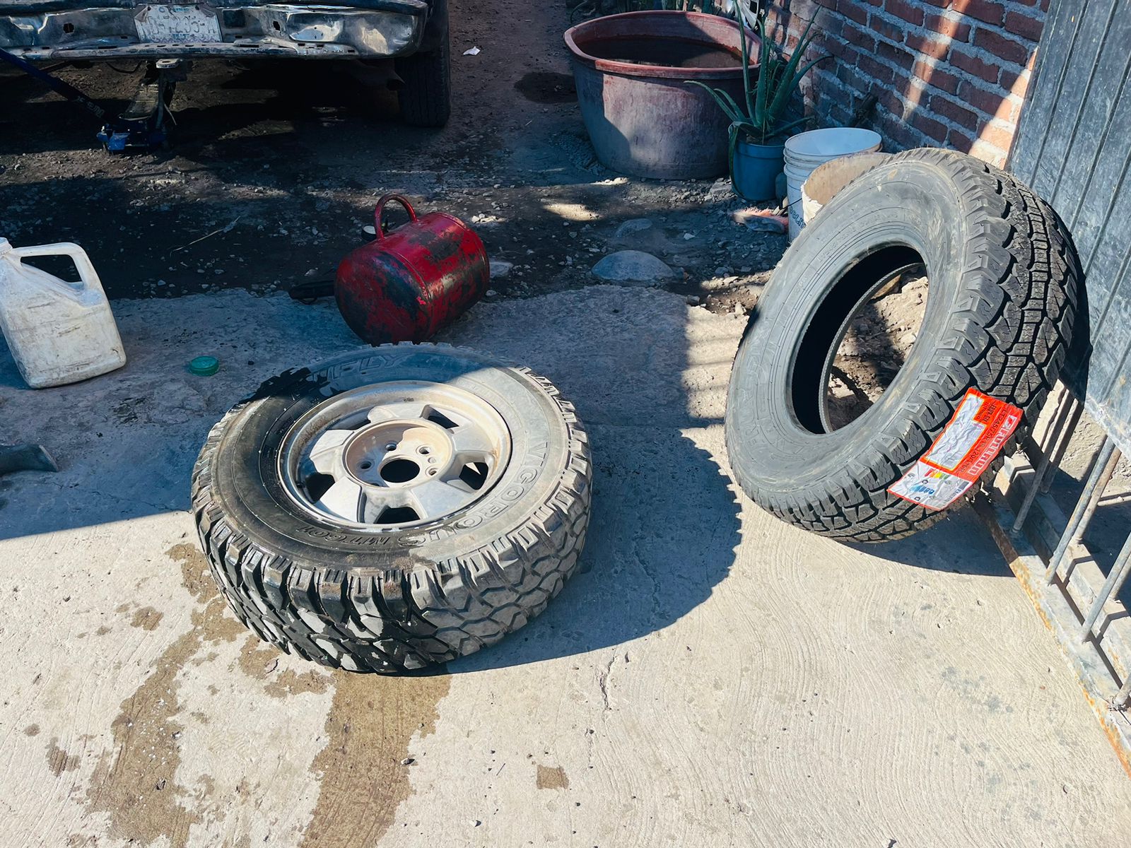 leetx-google-photo-69458-8 leetx-google-photo-69458-8