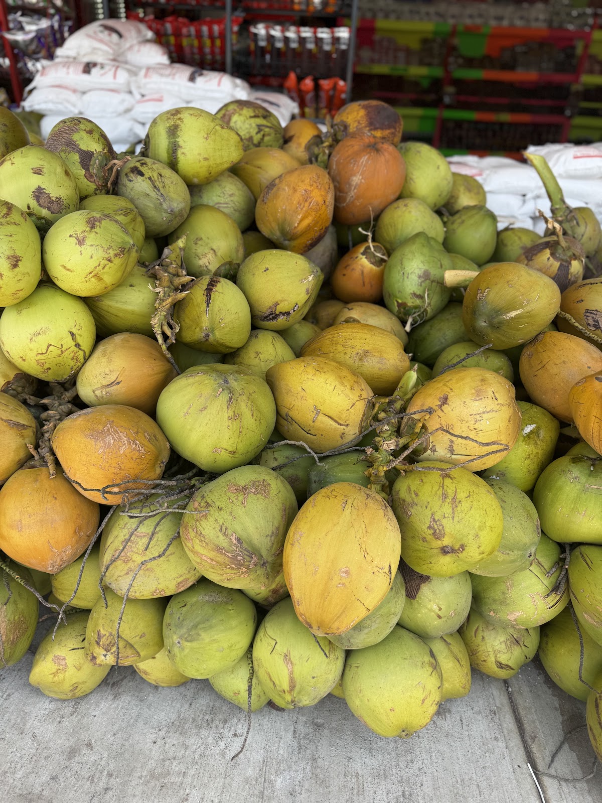 leetx-google-photo-69525-6 leetx-google-photo-69525-6