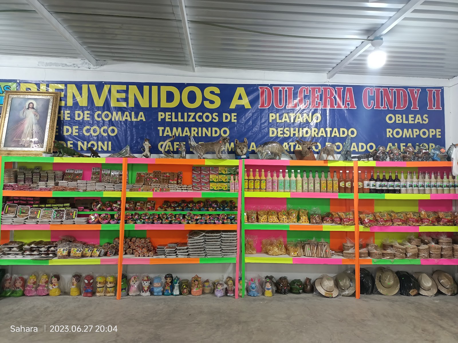 leetx-google-photo-69525-8 leetx-google-photo-69525-8