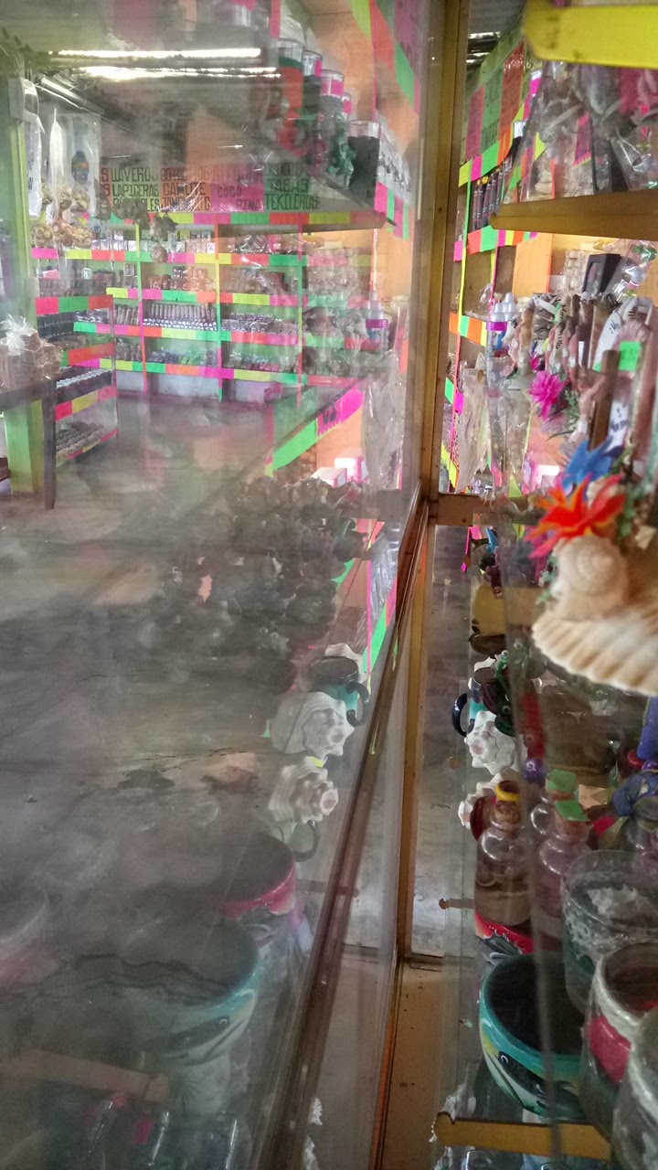 leetx-google-photo-69539-3 leetx-google-photo-69539-3