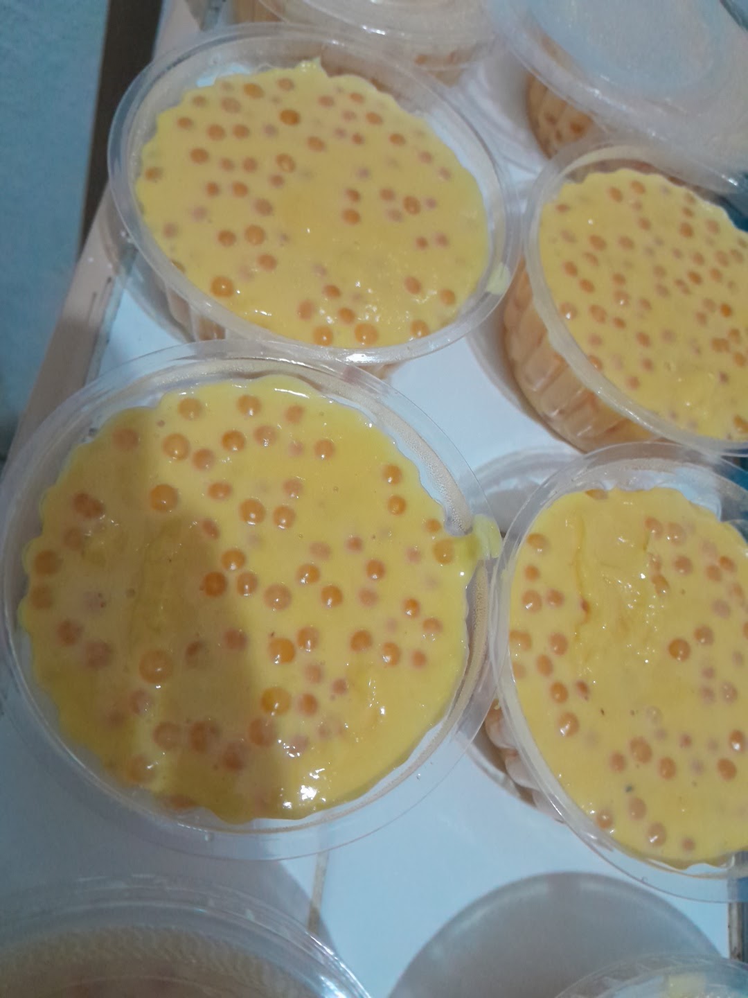 leetx-google-photo-69553-2 leetx-google-photo-69553-2