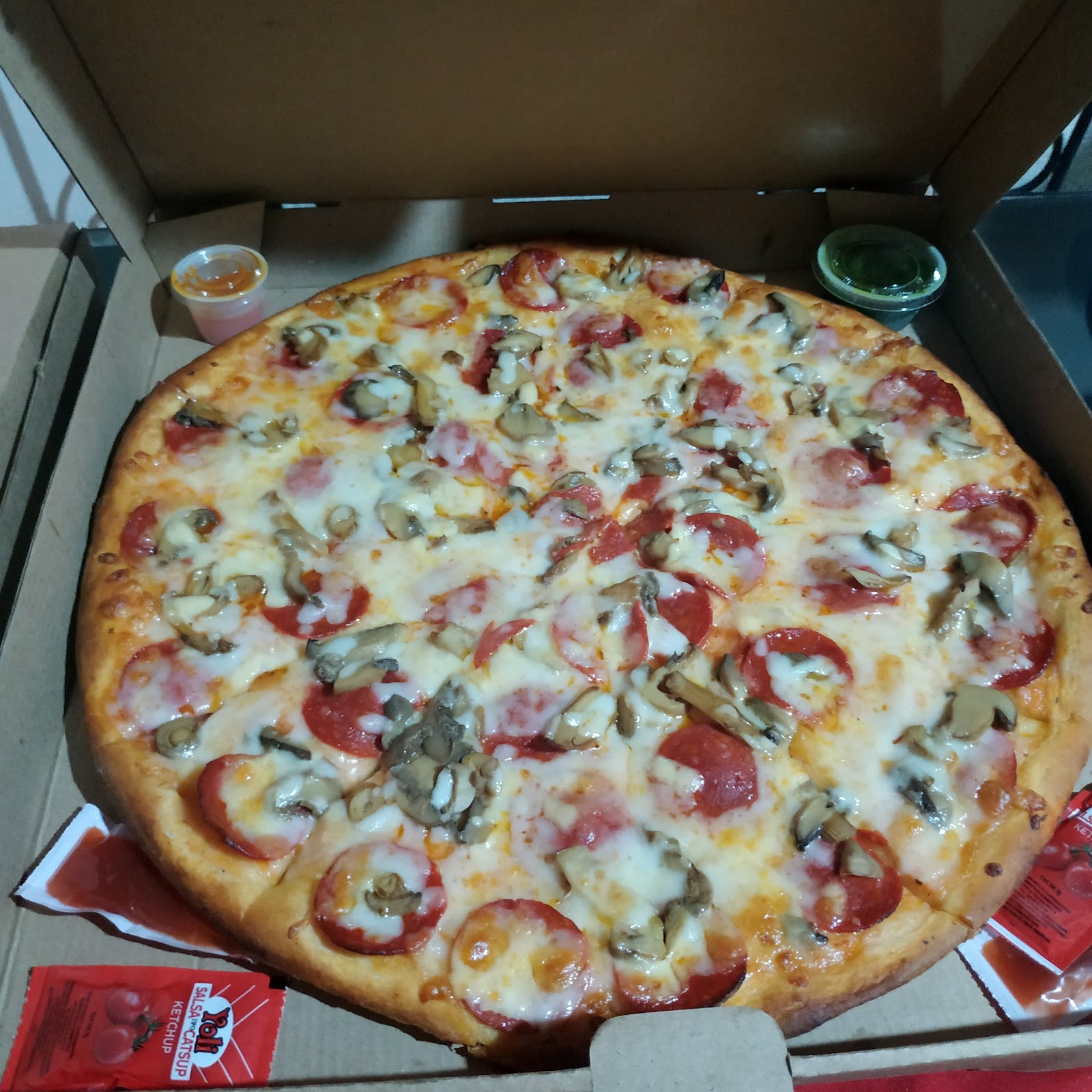 leetx-google-photo-69600-7 leetx-google-photo-69600-7