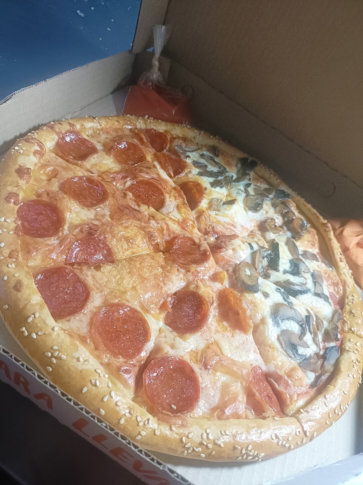 leetx-google-photo-69624-8 leetx-google-photo-69624-8