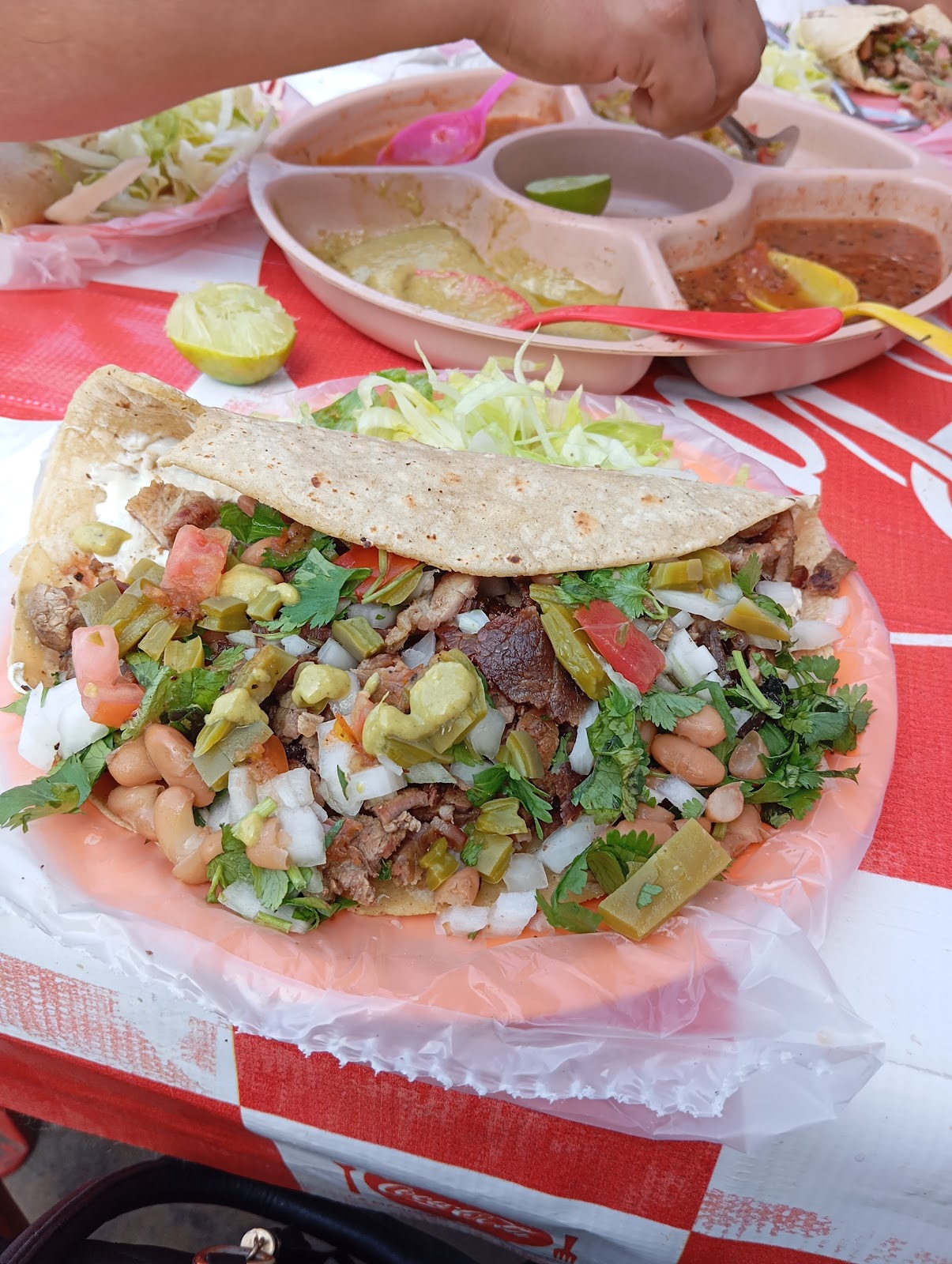 leetx-google-photo-70075-3 leetx-google-photo-70075-3