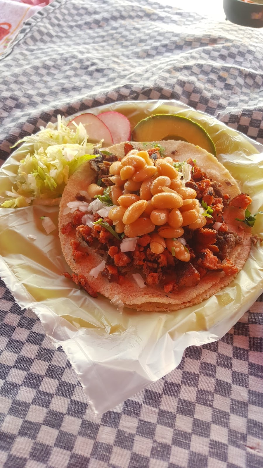 leetx-google-photo-70075-5 leetx-google-photo-70075-5