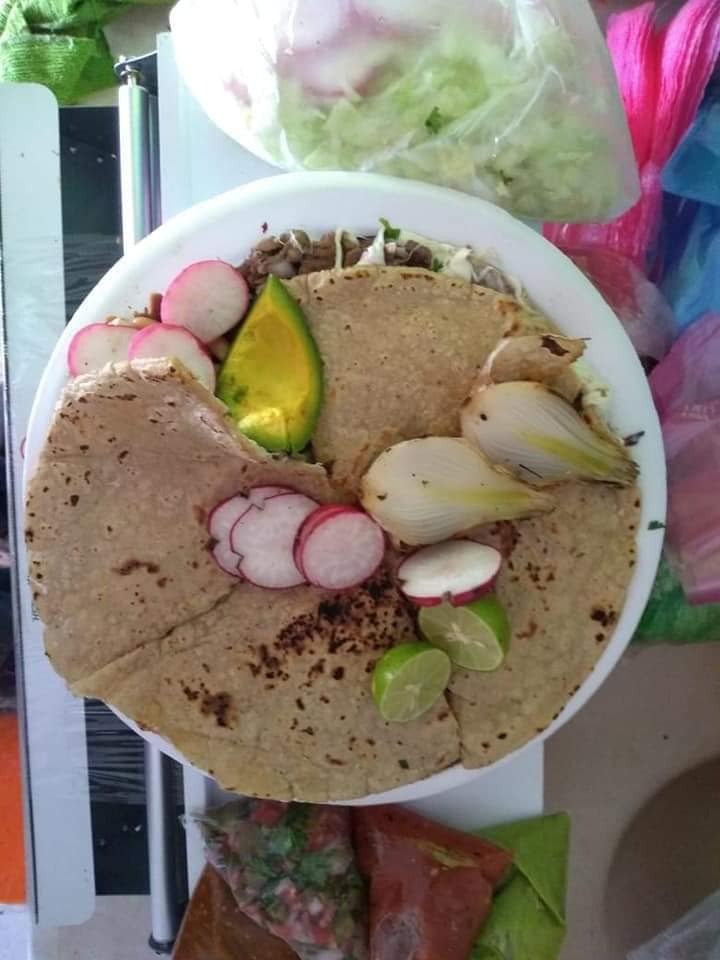 leetx-google-photo-70075-7 leetx-google-photo-70075-7