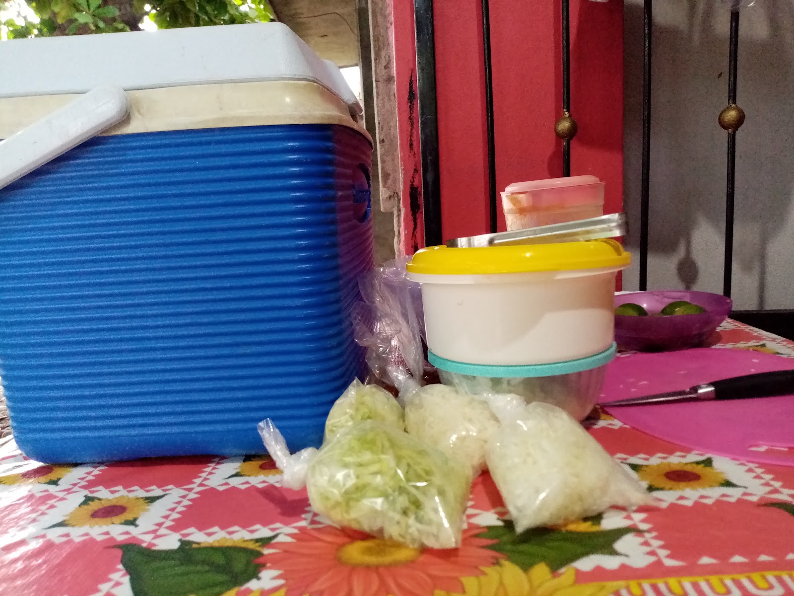 leetx-google-photo-70177-2 leetx-google-photo-70177-2