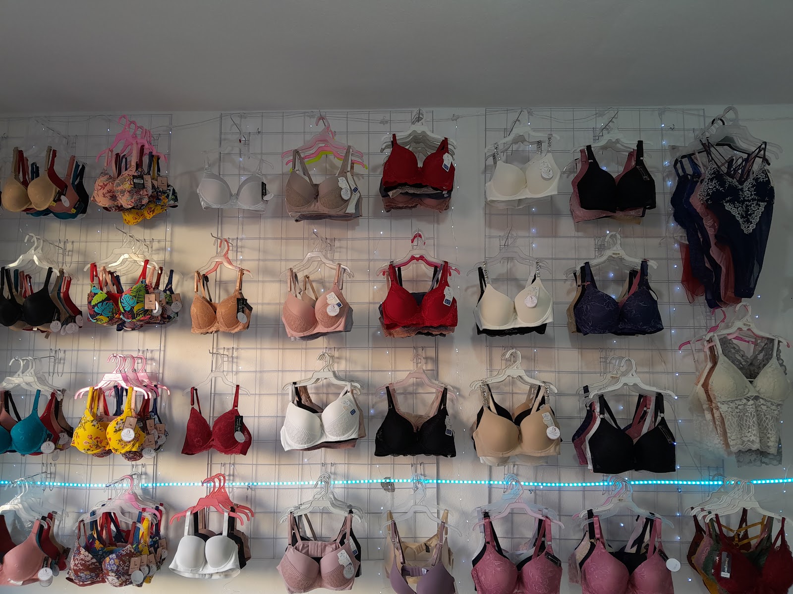 leetx-google-photo-70490-9 leetx-google-photo-70490-9