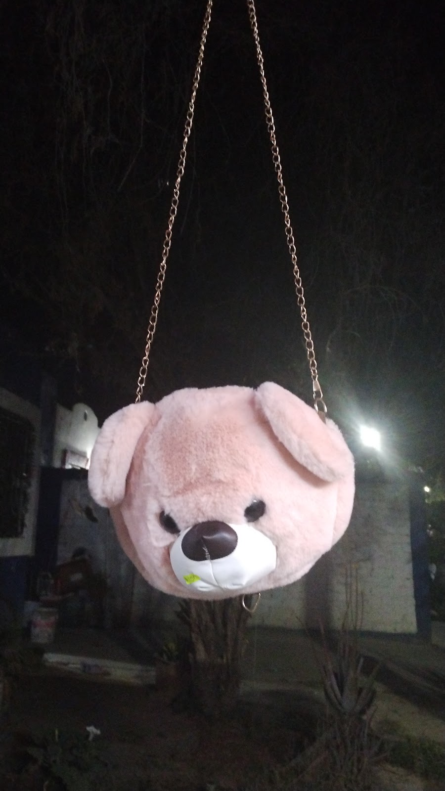 leetx-google-photo-70688-9 leetx-google-photo-70688-9