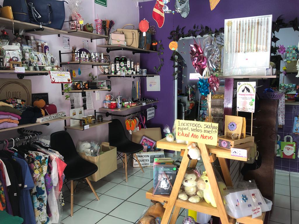 leetx-google-photo-70833-2 leetx-google-photo-70833-2