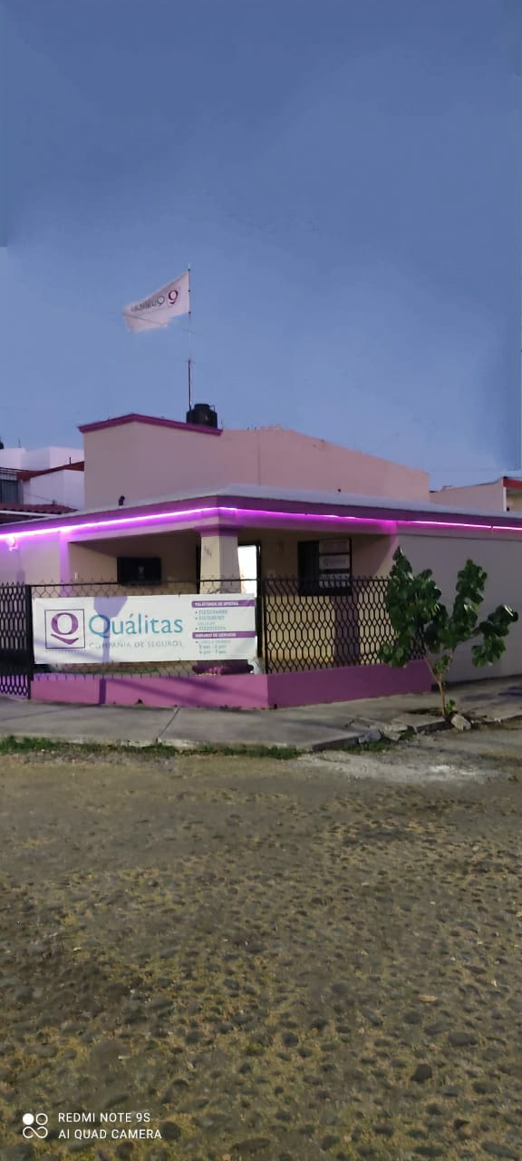 leetx-google-photo-70899-3 leetx-google-photo-70899-3