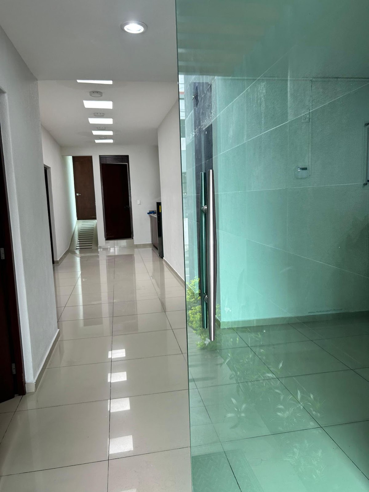 leetx-google-photo-70953-3 leetx-google-photo-70953-3