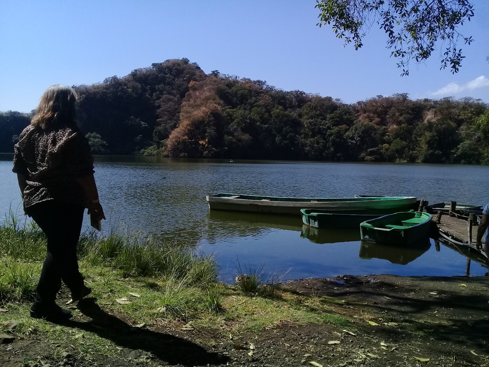 leetx-google-photo-71140-2 leetx-google-photo-71140-2