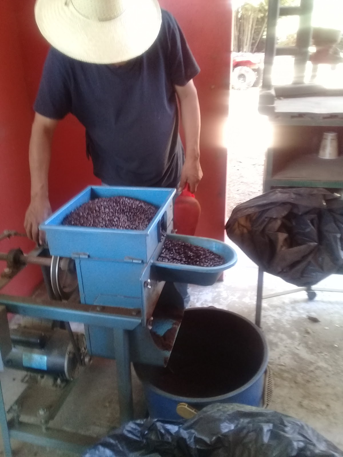 leetx-google-photo-71140-3 leetx-google-photo-71140-3