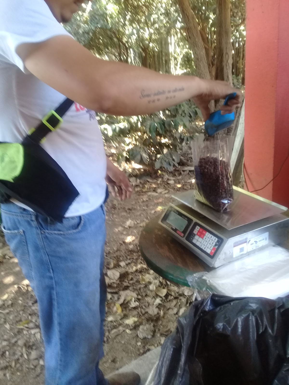 leetx-google-photo-71140-6 leetx-google-photo-71140-6