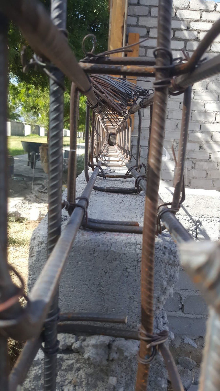 leetx-google-photo-71462-2 leetx-google-photo-71462-2