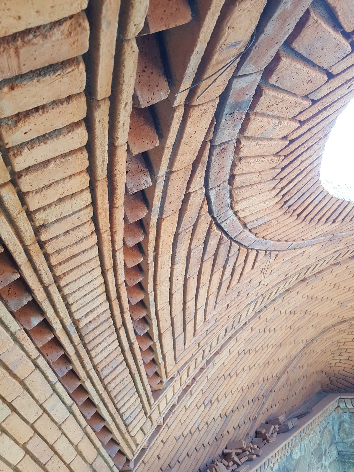 leetx-google-photo-71462-5 leetx-google-photo-71462-5