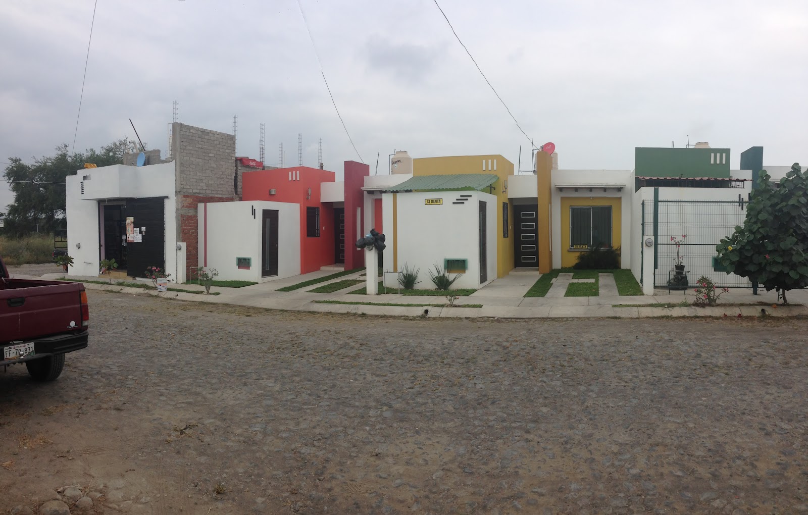 leetx-google-photo-71481-3 leetx-google-photo-71481-3