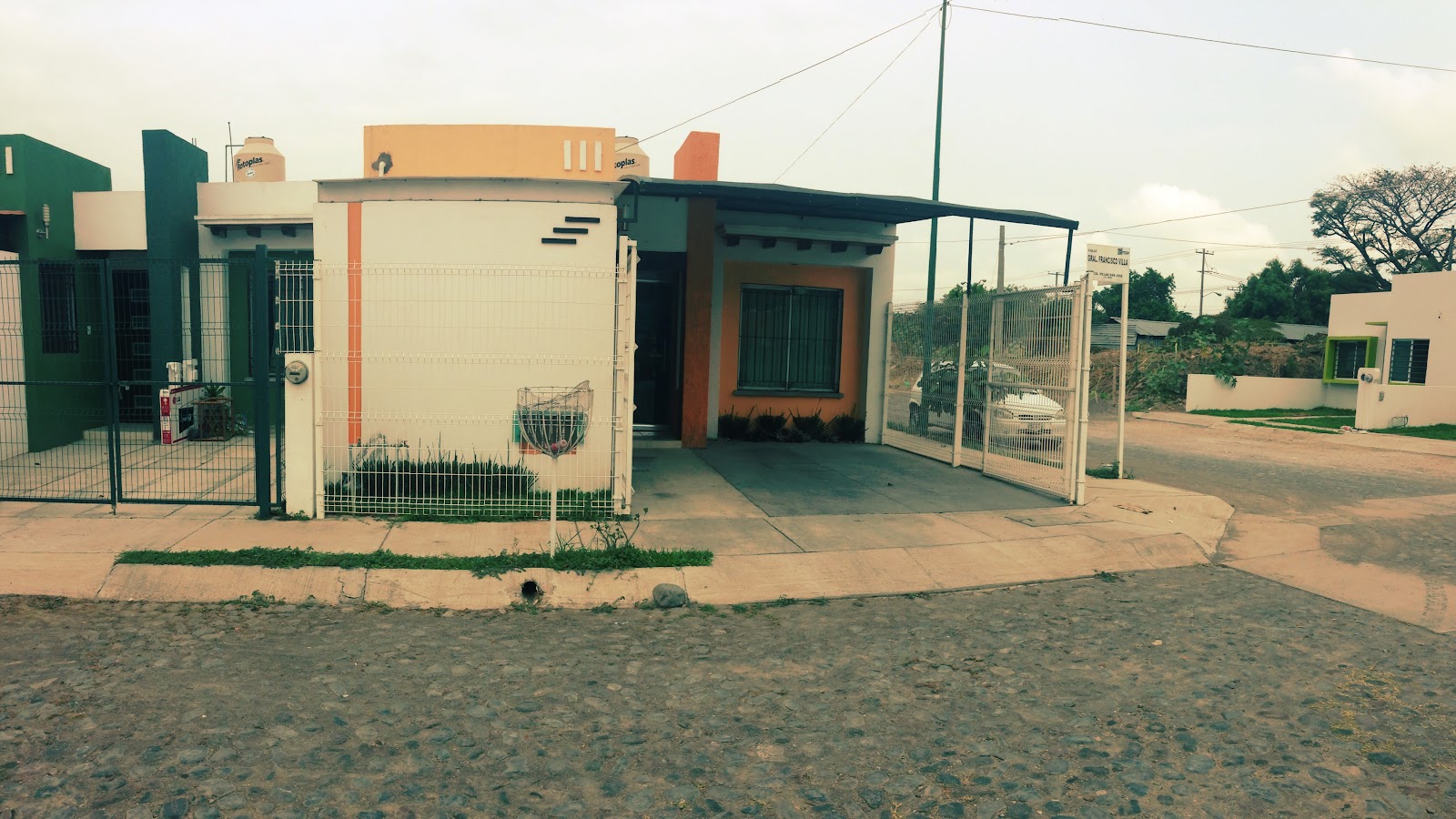 leetx-google-photo-71481-4 leetx-google-photo-71481-4