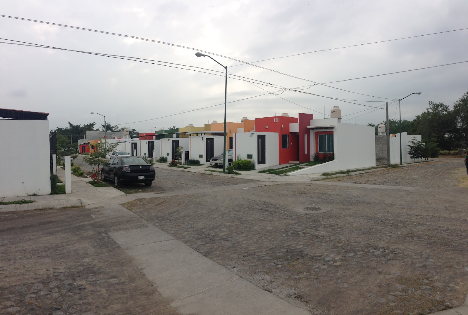 leetx-google-photo-71481-5 leetx-google-photo-71481-5