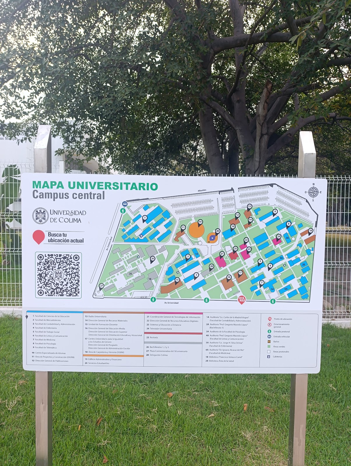 leetx-google-photo-71538-3 leetx-google-photo-71538-3