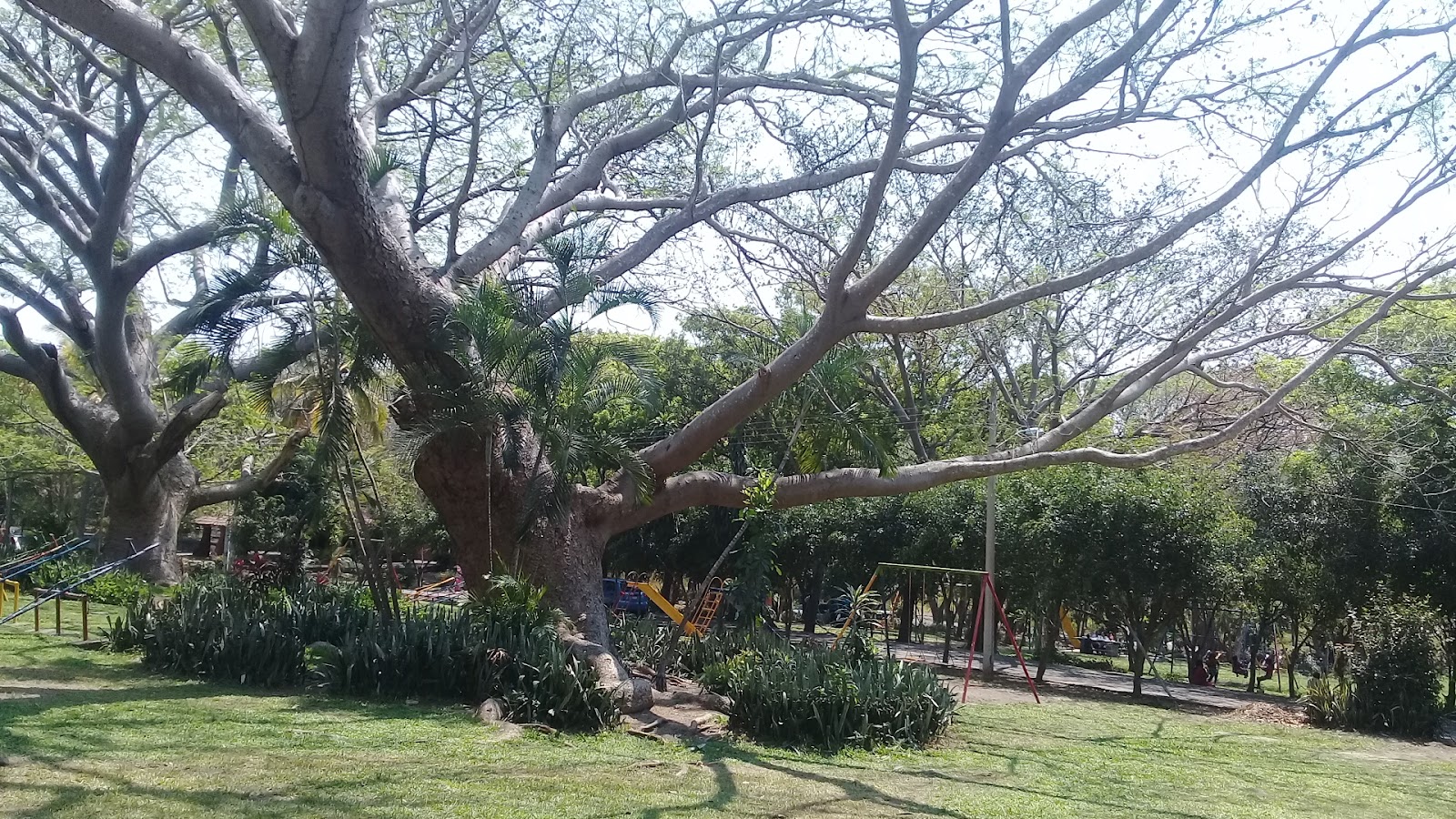 leetx-google-photo-71543-2 leetx-google-photo-71543-2