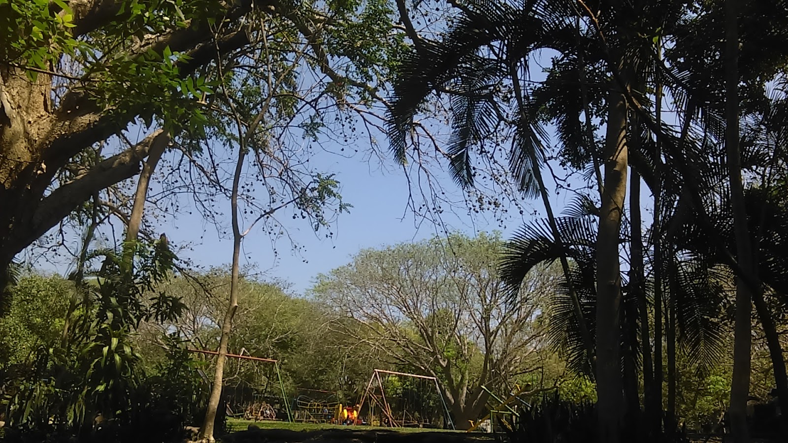 leetx-google-photo-71543-3 leetx-google-photo-71543-3