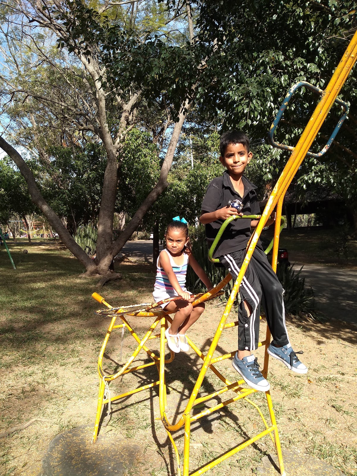 leetx-google-photo-71543-4 leetx-google-photo-71543-4