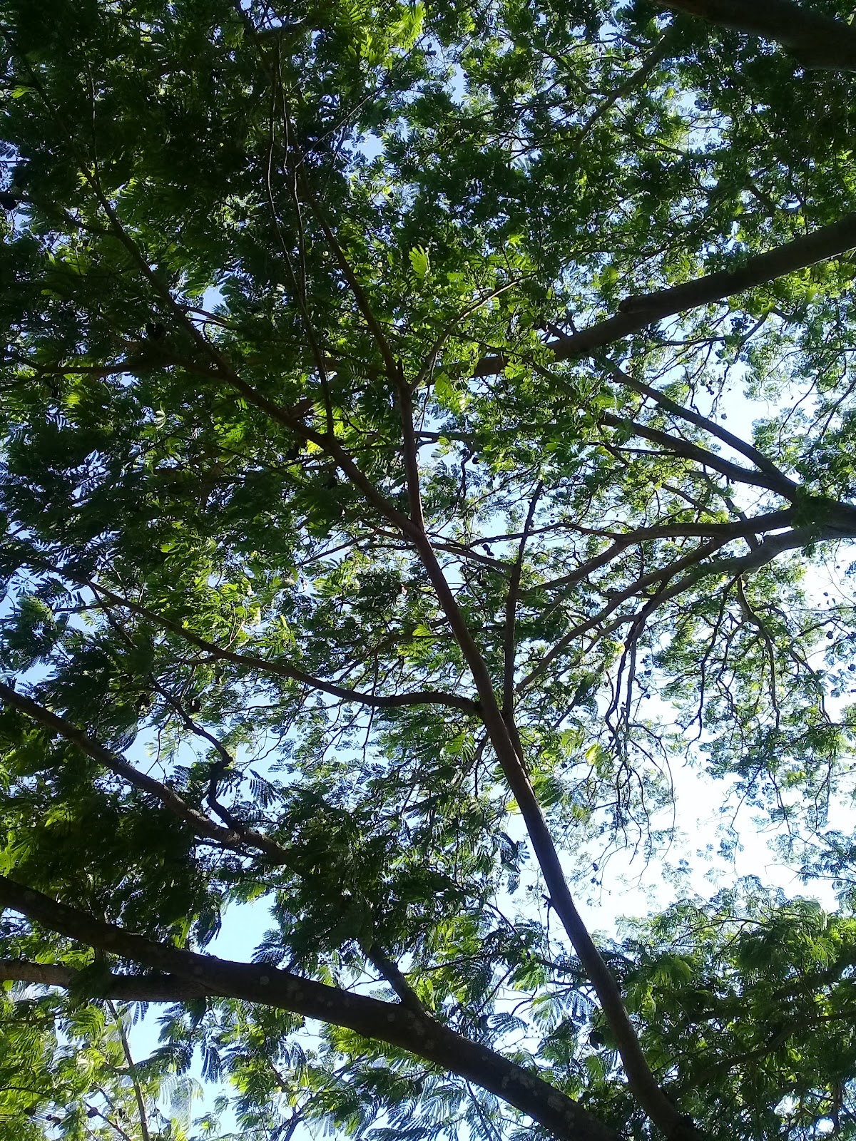 leetx-google-photo-71543-6 leetx-google-photo-71543-6