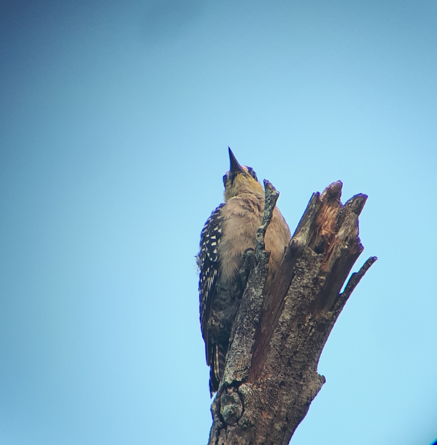 leetx-google-photo-71543-9 leetx-google-photo-71543-9