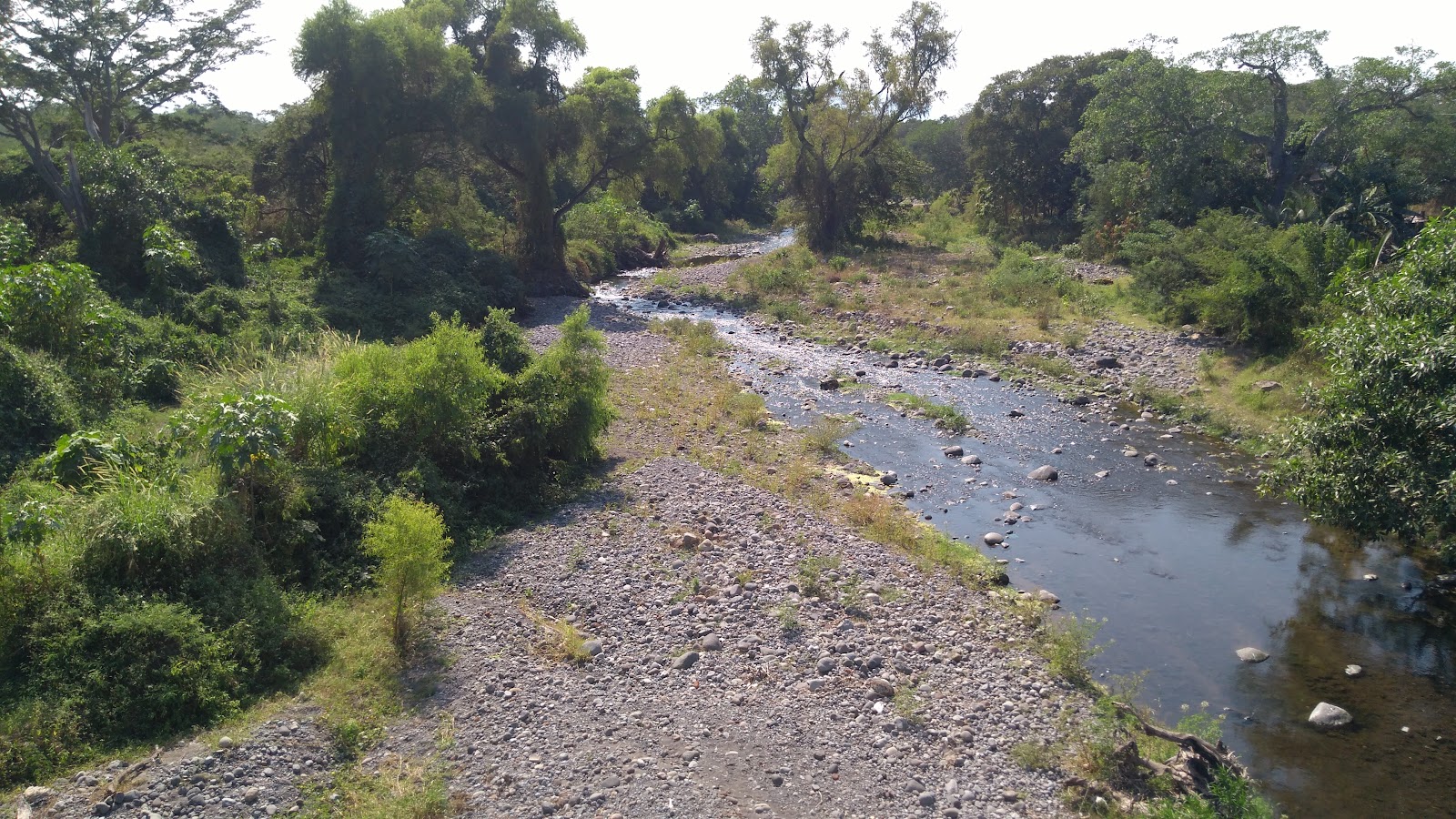 leetx-google-photo-71671-3 leetx-google-photo-71671-3