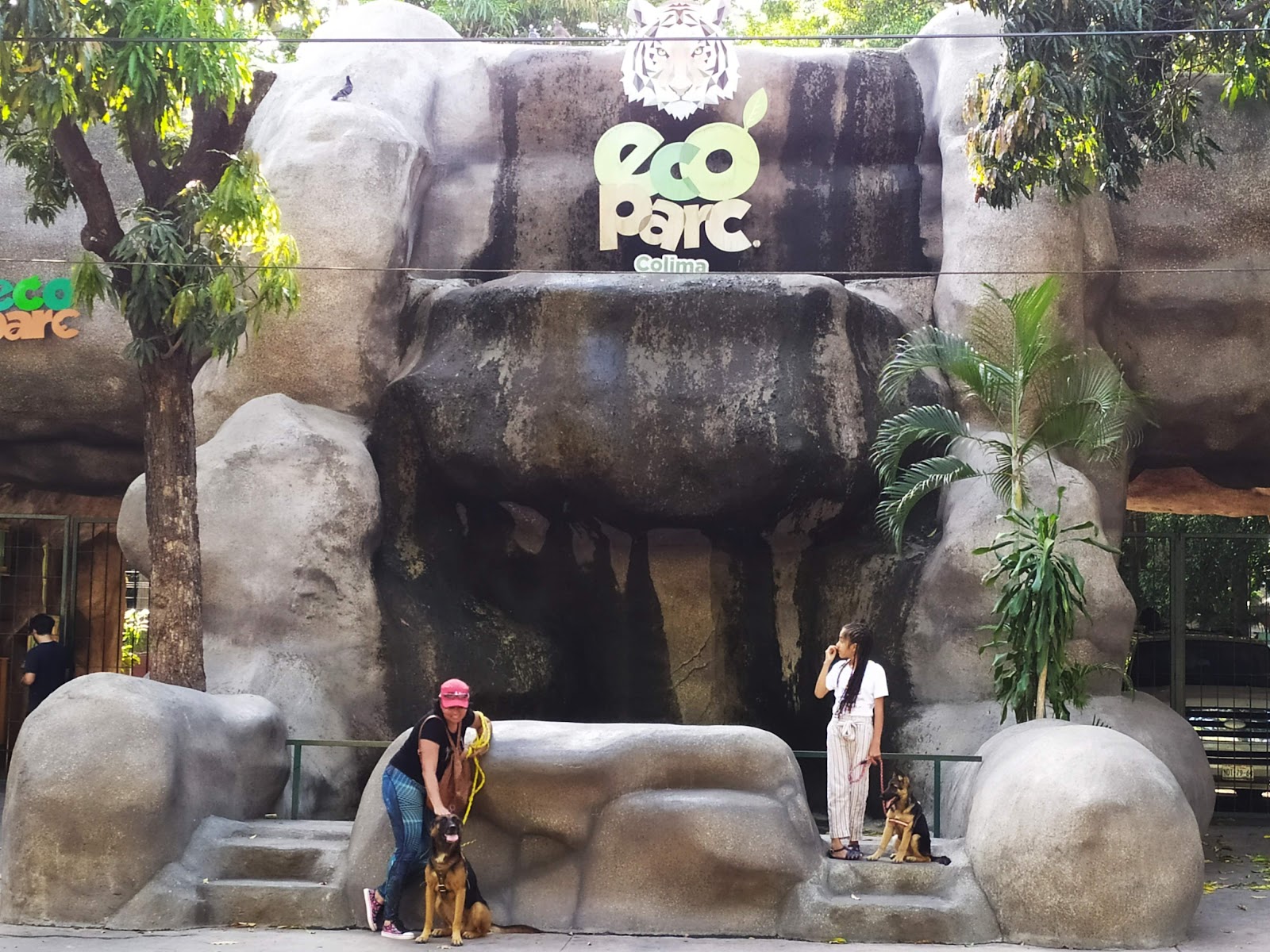 leetx-google-photo-71691-2 leetx-google-photo-71691-2