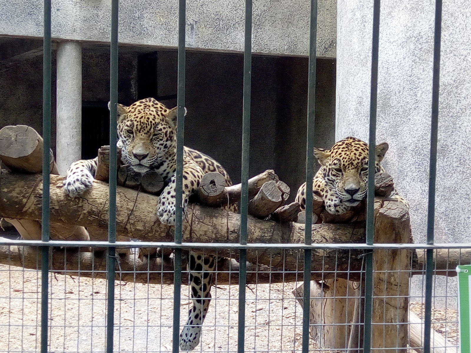 leetx-google-photo-71691-3 leetx-google-photo-71691-3