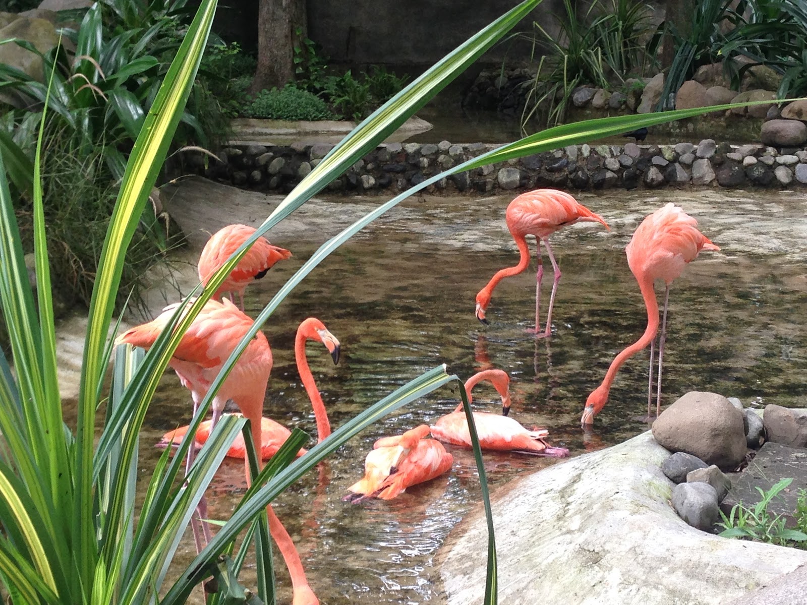 leetx-google-photo-71691-4 leetx-google-photo-71691-4