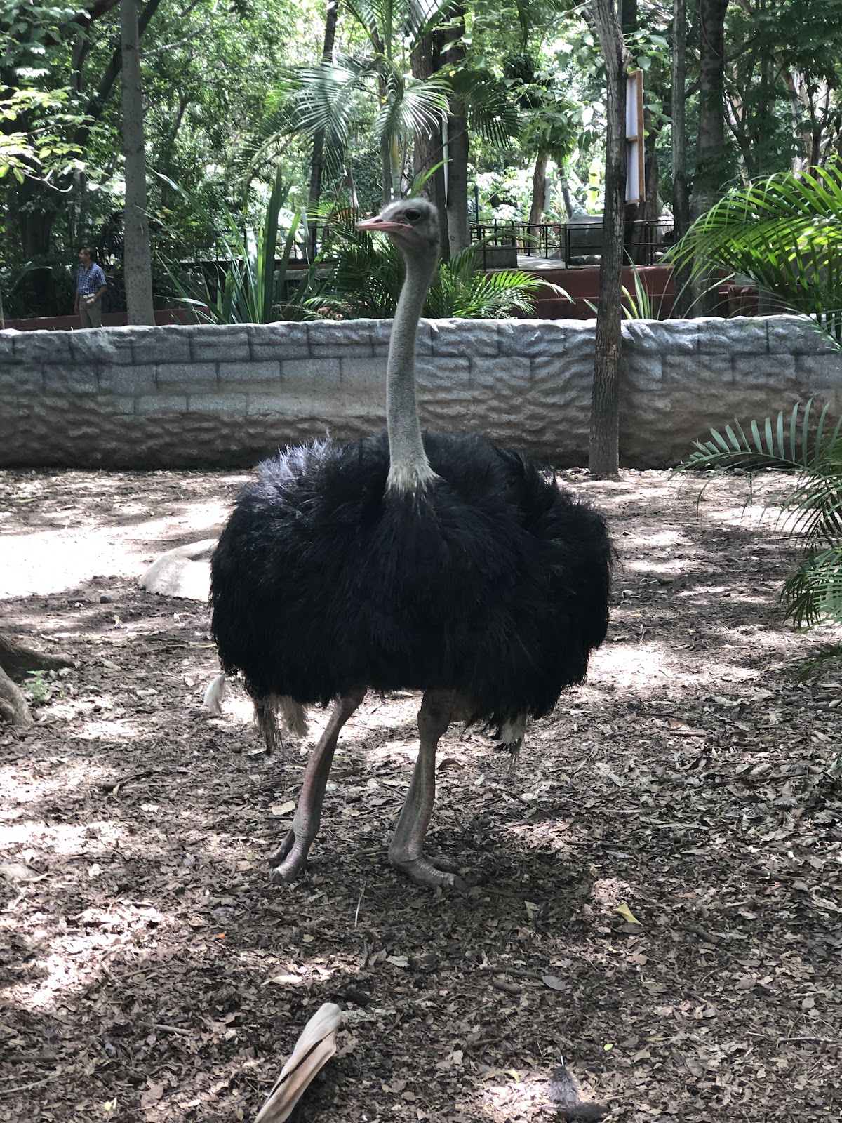 leetx-google-photo-71691-5 leetx-google-photo-71691-5