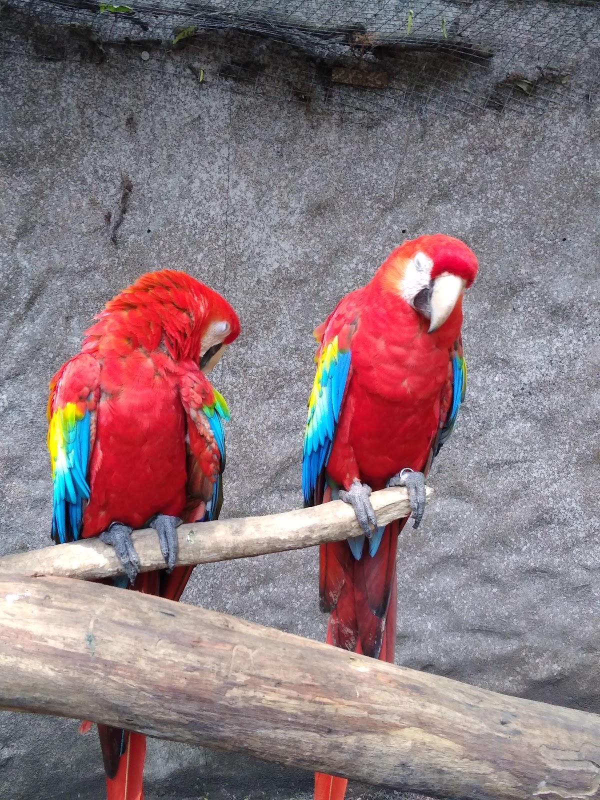 leetx-google-photo-71691-6 leetx-google-photo-71691-6