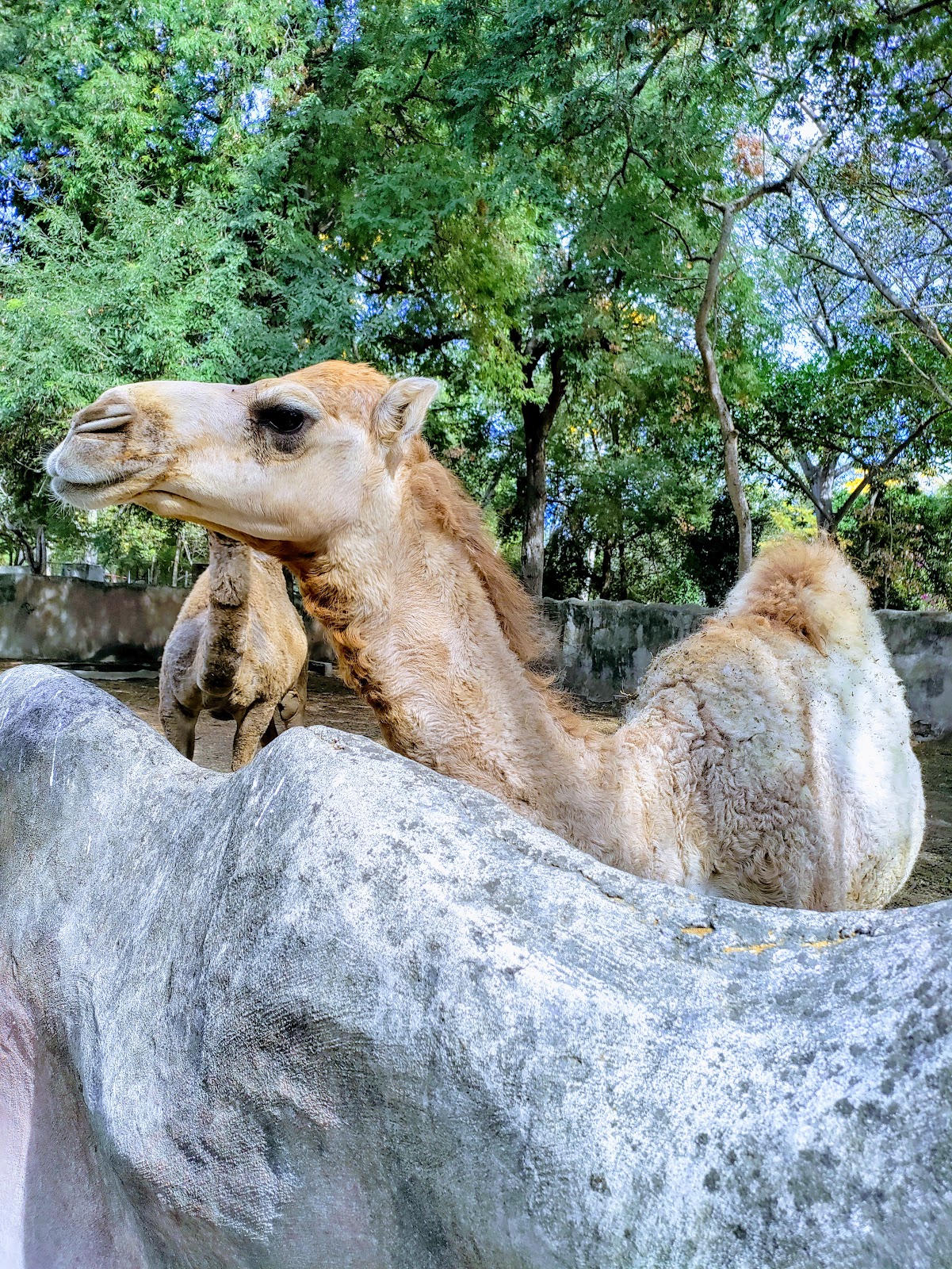 leetx-google-photo-71691-8 leetx-google-photo-71691-8