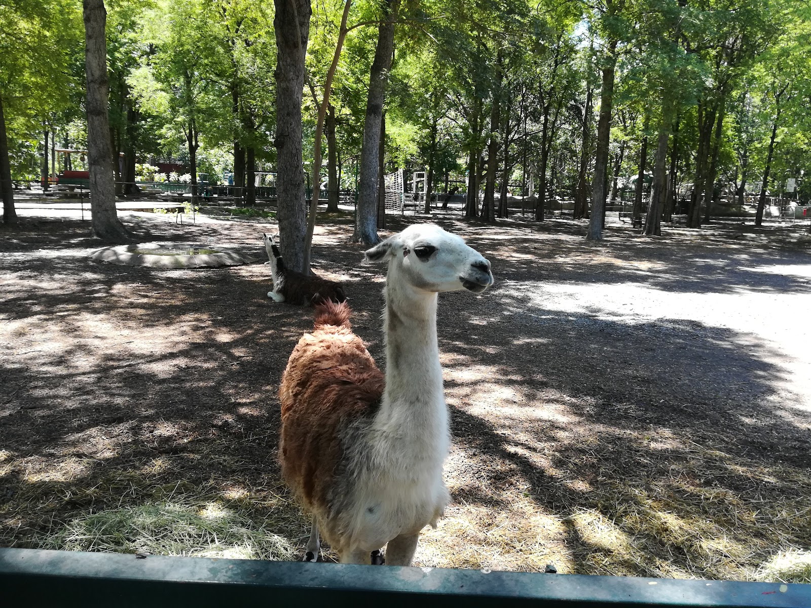 leetx-google-photo-71691-9 leetx-google-photo-71691-9