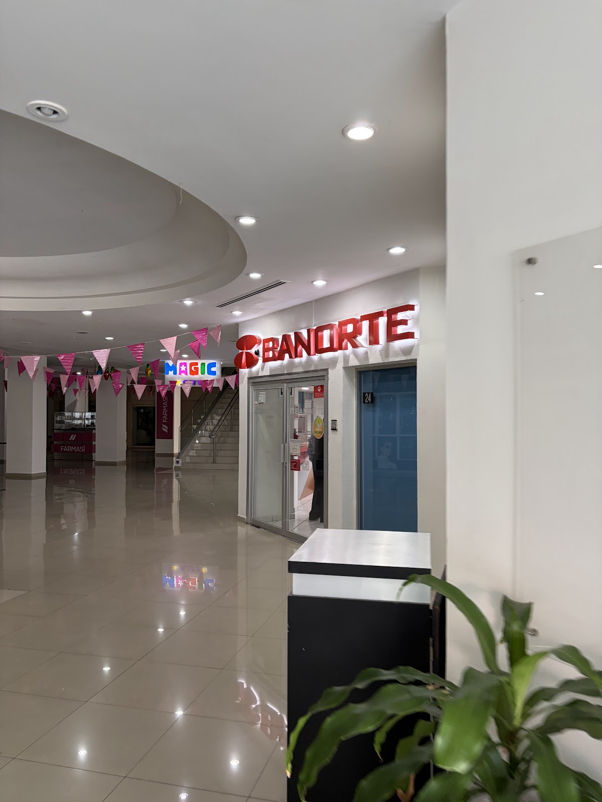 leetx-google-photo-72090-2 leetx-google-photo-72090-2