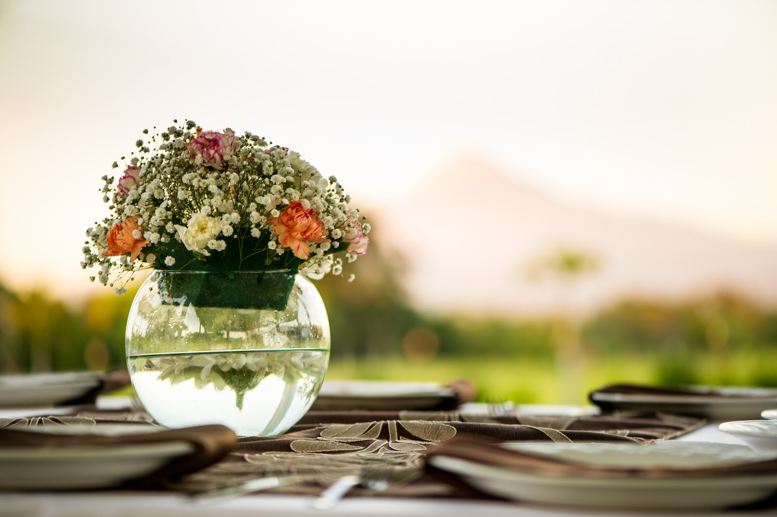 leetx-google-photo-72234-6 leetx-google-photo-72234-6